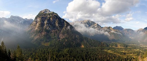 Dristlkopf