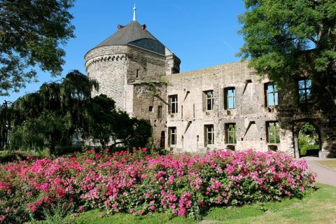 Ruins of Burg Andernach Castle