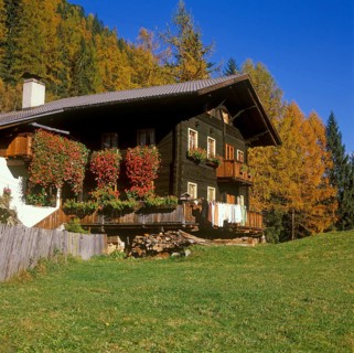 Wooden house