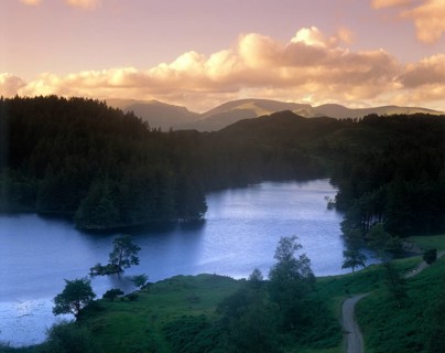 Cloudy mood at Tarn Hows lake