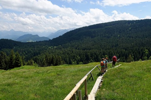 Hikers