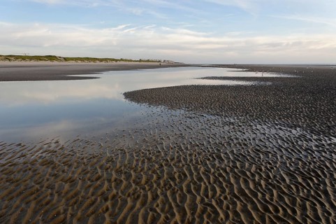 Beach at low tide