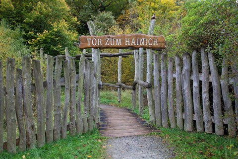 Tor zum Hainich'