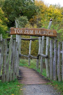 Tor zum Hainich'