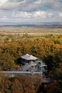 Treetop trail