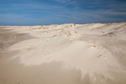 Sand dunes at Nordstrand beach