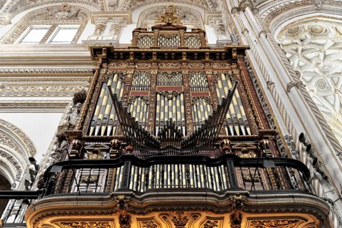Organ
