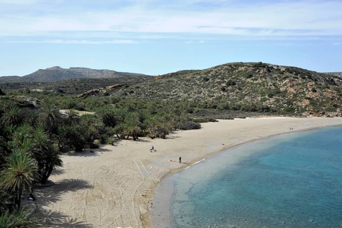 Palm beach of Vai with Cretan Date Palms (Phoenix theophrasti)