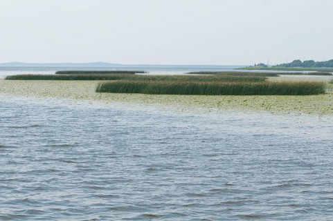 Neman River delta