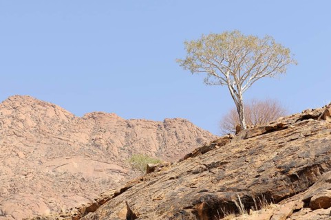 Mountain landscape along a trail to the White Lady rock painting in the Tsisab Gorge