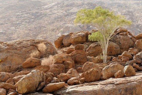 Mountain landscape along a trail to the White Lady rock painting in the Tsisab Gorge