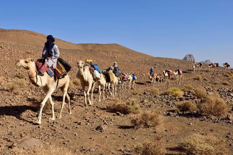 Tuareg men