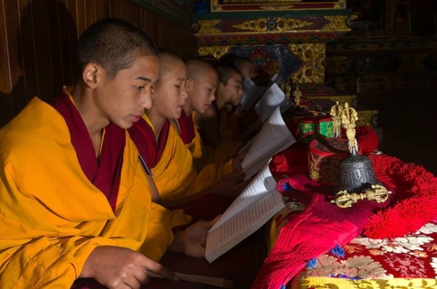 Young Tibetan monks reading the holy scriptures in Tibetan language in monastery near Boudnath Stupa