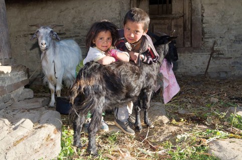2 local children taking care of their goats