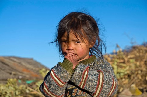 Portrait of a little farmers child