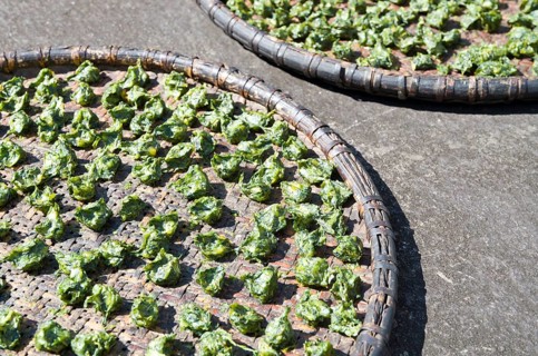 Spinach drying in the sun on a tablet