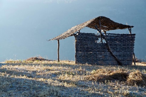 Shelter for animals in the first light of the morning