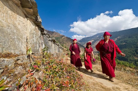 Monks and nuns wearing red cloths walking on a small path along a mountain slope
