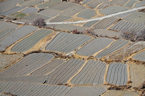 Agricultural used fields around Kaghbeni