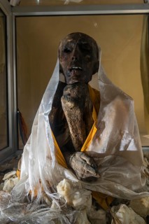 Mummy of a monk from 15th century in a glas container at a temple