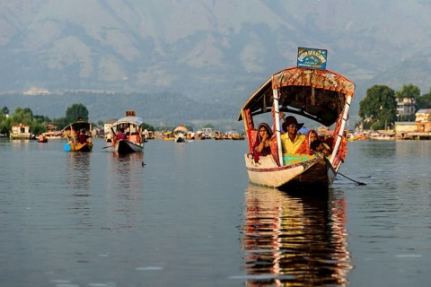 Shikara boats on Dal Lake