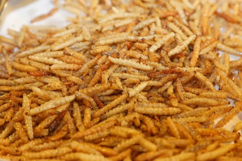 Fried maggots at a Thai market