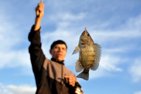 Indigenous man with a fish on the hook