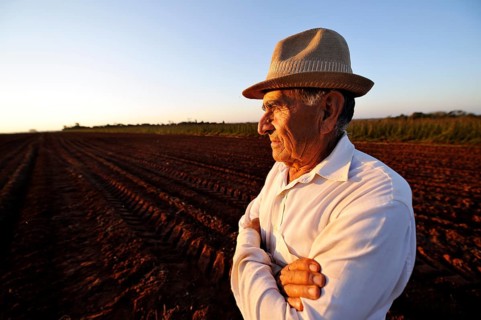Peasant farmer