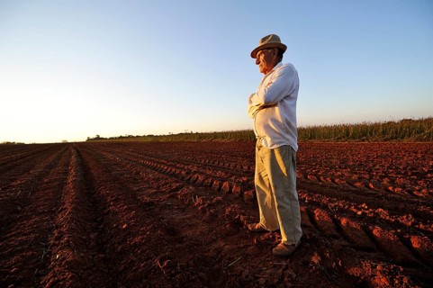 Peasant farmer