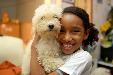 Girl with a poodle in a slum or favela