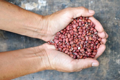 Hands full of beans