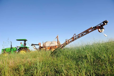Spraying of pesticides on a field in a Mennonite community