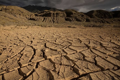 Mud cracking in drying lake