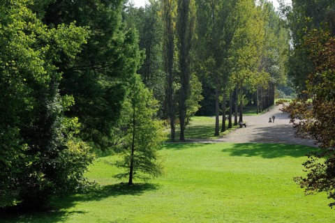 Park on the Ilm