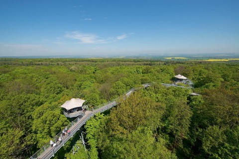 Baumkronenpfad or Canopy Walk Way in the spring forest