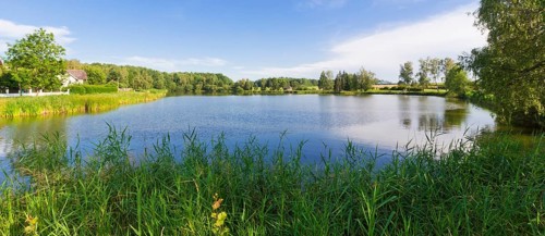 Pond
