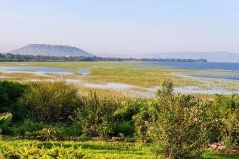 Lake Awasa