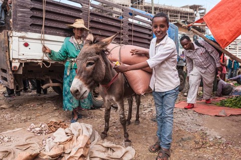 Boy with a pack donkey