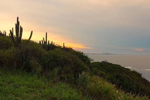 Coastal landscape