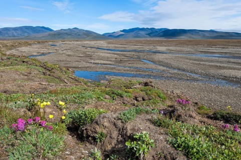 Riverbed