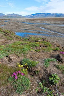Riverbed