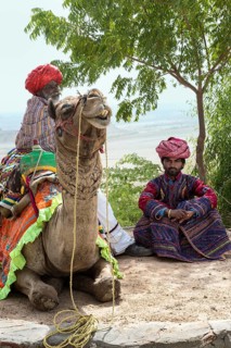 Men of the Rabari in traditional clothes with a dromedary