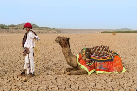 Rabari man with his dromedary on dry ground