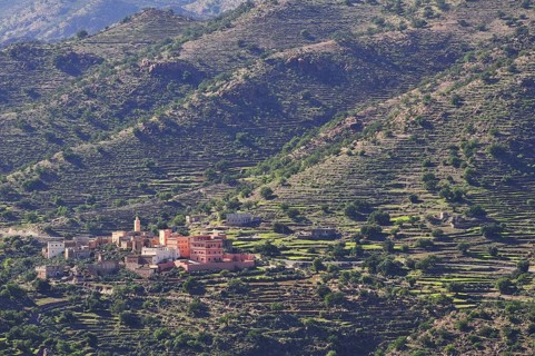 Village surrounded by terraced fields