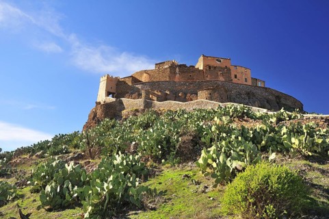 Ksar Tizourgane surrounded by Prickly Pears