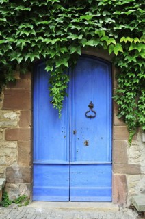 Blue door with ivy