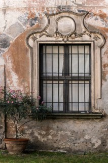 Window