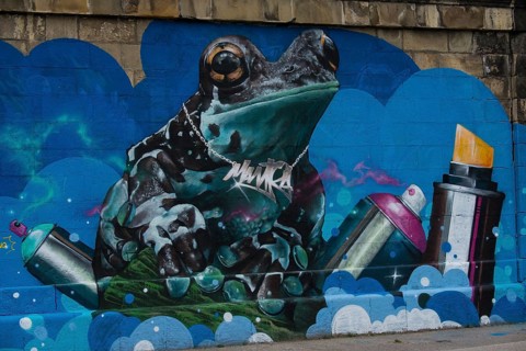 Frog graffiti