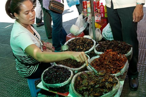 Vending stall for grilled and salted cockroaches as a snack
