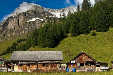 Houses and farm buildings on the Urnerboden mountain pasture
